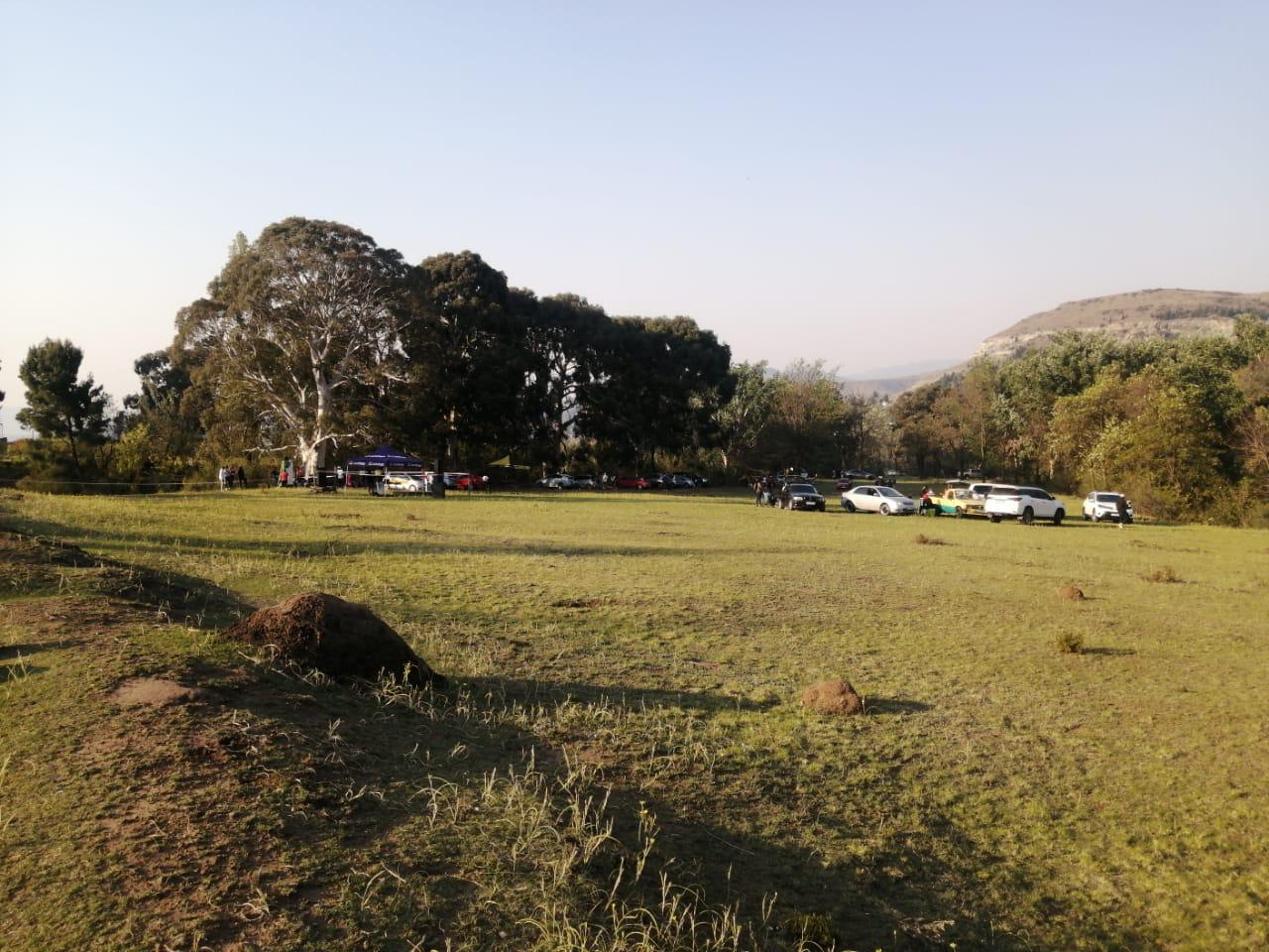 Park Scenery